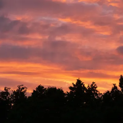 Photo 068.jpg - Fête de la bière 2022